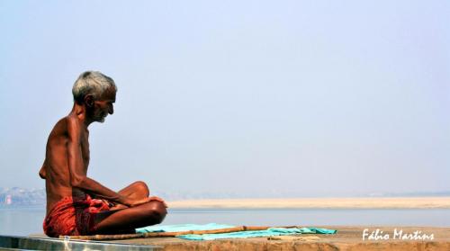 IMG 9546 (5) (Large)